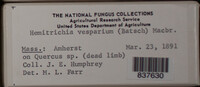 Image Associated With the Occurence
